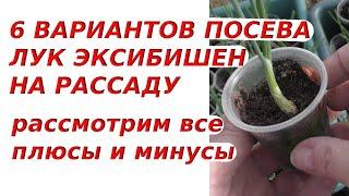 Рассадный марафон | Шесть вариантов посева семян лука #Эксибишен на рассаду, обсудим плюсы и минусы