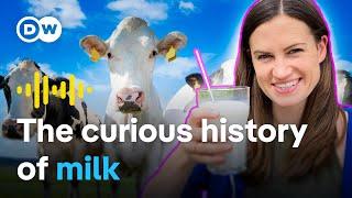 Milk: Why do we drink it? Health, money and marketing | Don't Drink the Milk – Podcast