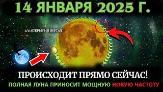 Открытие портала полнолуния 8 важнейших откровений! 13 января 2025 г