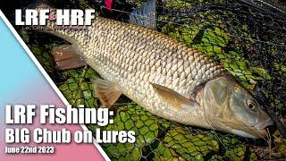 LRF Fishing: BIG Chub on Lures