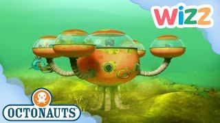 @Octonauts - Octopod Sewage Disaster! | Full Episode | Cartoons for Kids | @Wizz