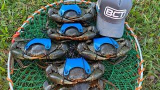 CROCODILE in CRAB POT | MUD CRABS with KIDS | NORTH QUEENSLAND MUD CRABS