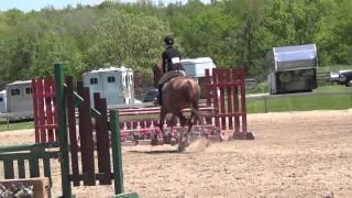 Serendipity- Open Adult Hunter round