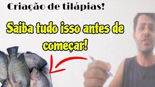 Criação de tilápias! Saiba tudo antes de começar.