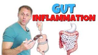 Improving Gut Inflammation