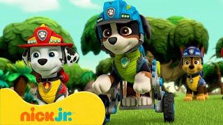 Psi Patrol | Dino-przygody z Rexem! | Nick Jr. Polska