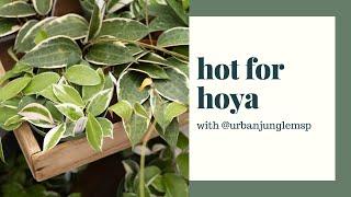 Hot for Hoya featuring @UrbanJungleMSP