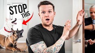 How to STOP your dog from FREAKING out when people come over!- Dog Training Video