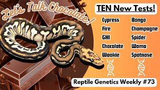 TEN New Shed Tests Released, & Let's Talk CHOCOLATE! - RGW Ep 73