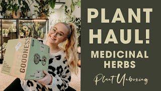 Not Your Typical Plant Unboxing | Medicinal Herbs Haul | Mountain Rose Herbs