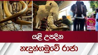 යළි උපදින නැදුන්ගමුවේ රාජා | Nadungamuwe Raja  | Elephant SriLanka | Rupavahini News