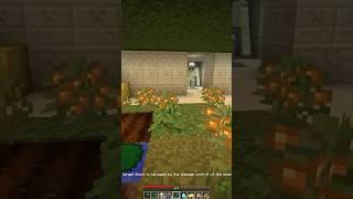 PYRAMID SECRET #shorts #minecraft #meme #minecraft #minecraftmemes #fyp #foryou #foryoupage #viral