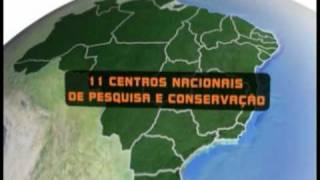 ICMBio - Biodiversidade Brasileira