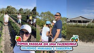 FOMOS PASSEAR EM UMA FAZENDINHA+COLHEMOS MORANGO E TANGERINA!