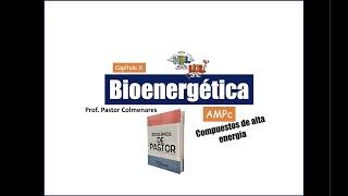 AMPc | Bioenergética parte XI