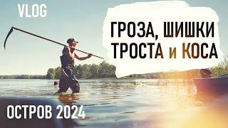 ВСЁ СЖЕЧЬ, СКОСИТЬ, ЗАЛИТЬ, СОБРАТЬ и ВЫКУПАТЬ. Остров 2024 VLOG - Senya Miro