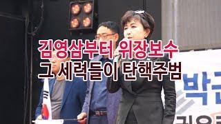 여의도2차_ 탄핵주범은 3당 야합의 후예들_ 정미홍