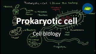 Importance of microbes | Prokaryotic cell | Microbiology | Cell Biology | Basic Science Series