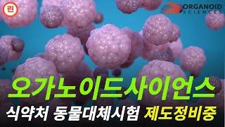 [오가노이드사이언스 분석] 하락추세 내에서 상승기조로 바뀐 것입니다. #오가노이드사이언스