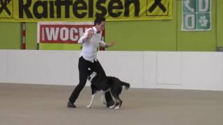 OEC DogDance 2016 HTM 1st Place