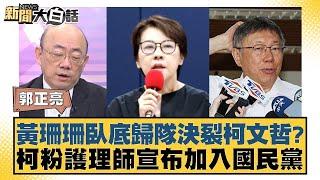 黃珊珊臥底歸隊決裂柯文哲？柯粉護理師宣布加入國民黨【新聞大白話】20241114-9｜郭正亮 謝寒冰 黃暐瀚