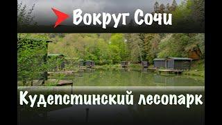 #23 Кудепстинский лесопарк 4K