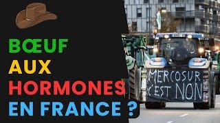 Mercosur : Le Traité Qui Va Détruire (ou Sauver ?) Nos Éleveurs !