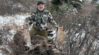 Part 2 Hunting Moose , sheep and caribou in Northern BC . GRAPHIC CONTENT HARVESTING ANIMALS !!!