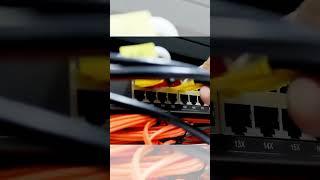 Network cable connect to switch #switch #network #cable #shorts #shortvideo