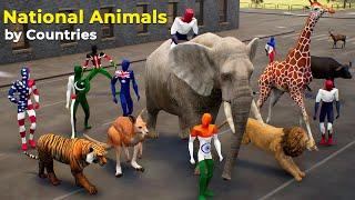 National Animal By different countries | #nationalanimal 2025