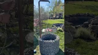Это барбекю обойдётся вам в копейки