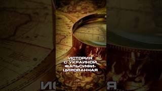 Сергей Михеев: История с Украиной фальсифицированная #новости