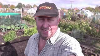 (109) Altering the No Dig Bed, Planting Garlic and  Bathgate Compost Update