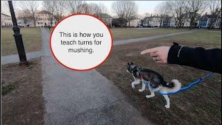 How to Train Mushing Commands