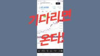 soxl tqqq ionq bitx tsla 미국주식 나스닥 비트코인 투자