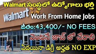 Walmart Work From Home Jobs | Latest Private Jobs in Telugu | Freshers Jobs | Jobs Guruvu