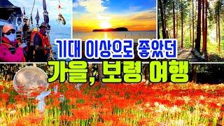 진즉에 와볼걸~ 이렇게 멋진 곳을 모르고 있었네! 충남 보령의 가을이 기대 이상으로 정말 아름답네요^^ 가을여행/9~10월 여행지추천/충남 가볼만한곳/가족여행/국내여행/korea