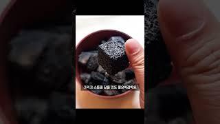 요즘 스톤 디퓨저가 좋더라고요 feat.알리  #shorts