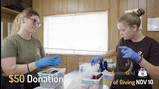 How to Help Animals and Wildlife on the Day of Giving