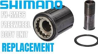 How to replace SHIMANO FREEHUB BODY ? Quick Tutorial #freehub #drivetrain #mtb