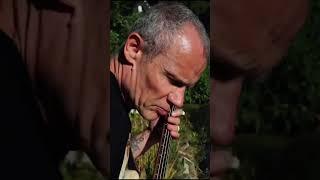 Flea on Bass #shortvideo #shorts #short #rhcp #bassplayer #bass #flea