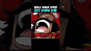 원피스 유튜버들 저격한 오다 근황