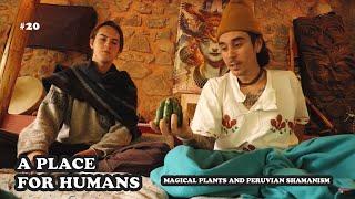 Shamanism and Plant Magic w/ Coleman Goodsmith | A Place For Humans podcast #20