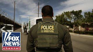 Stunning new data revealed, cartels on notice: 'WE'RE CLOSED!'