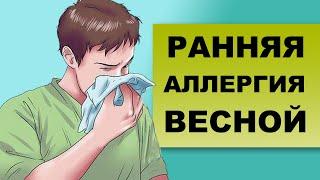 РАННЯЯ АЛЛЕРГИЯ ВЕСНОЙ