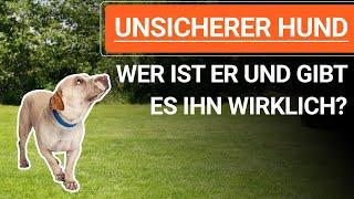  Was bedeutet UNSICHERER HUND und gibt es ihn wirklich? ️ Erklärvideo ️