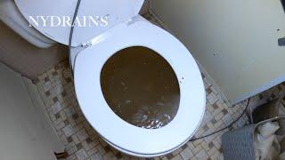 Clogged Drain #107