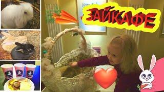 Зайкафе | СаШкА промокашка в атиникафе #Зайкафе гладит пушистых кроликов