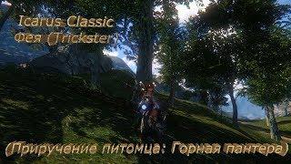 Icarus Classic - Фея (Trickster) - (Приручение питомца: Горная пантера)