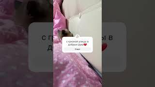 счастье найденное на улице️‍⬛